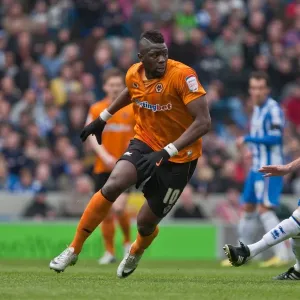 Brighton & Hove Albion vs. Wolves: 2012-13 Home Game Brighton & Hove Albion vs. Wolves: 2012-13 Home Game