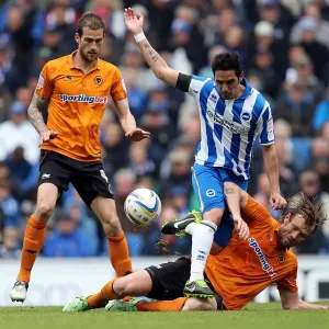 Brighton & Hove Albion vs. Wolves: 2012-13 Home Game Brighton & Hove Albion vs. Wolves: 2012-13 Home Game