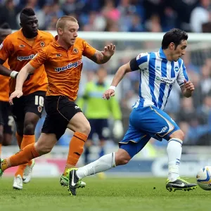 Brighton & Hove Albion vs. Wolves: 2012-13 Home Game Brighton & Hove Albion vs. Wolves: 2012-13 Home Game