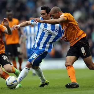 Brighton & Hove Albion vs. Wolves: 2012-13 Home Game Brighton & Hove Albion vs. Wolves: 2012-13 Home Game