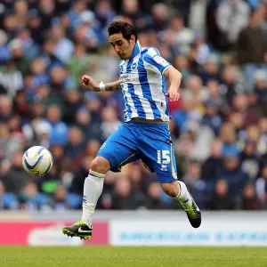 Brighton & Hove Albion vs. Wolves: 2012-13 Home Game Brighton & Hove Albion vs. Wolves: 2012-13 Home Game