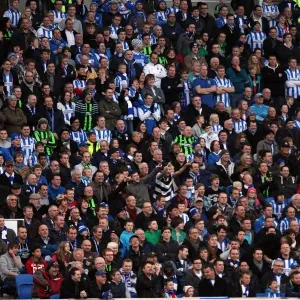 Brighton & Hove Albion vs. Wrexham: FA Cup Battle - January 7, 2011 Brighton & Hove Albion vs. Wrexham: FA Cup Battle - January 7, 2011