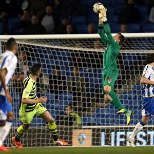 Brighton & Hove Albion vs. Yeovil Town: 25 April 2014 (The Seagulls Home Stand)