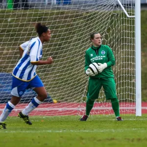 Brighton & Hove Albion Women: 2013-14 Season - Chesham Match Brighton & Hove Albion Women: 2013-14 Season - Chesham Match