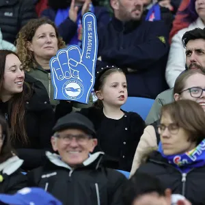Brighton and Hove Albion Women v Everton Women Women's Super League 19APR24