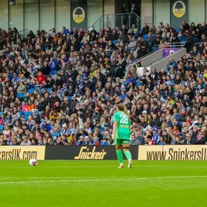 Brighton & Hove Albion Women vs. Leicester City Women: Premier League Clash at American Express Community Stadium (November 14, 2021) Brighton & Hove Albion Women vs. Leicester City Women: Premier League Clash at American Express Community Stadium (November 14, 2021)
