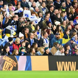 Brighton & Hove Albion Women vs. Leicester City Women: WSL Clash at American Express Community Stadium (14NOV21) Brighton & Hove Albion Women vs. Leicester City Women: WSL Clash at American Express Community Stadium (14NOV21)