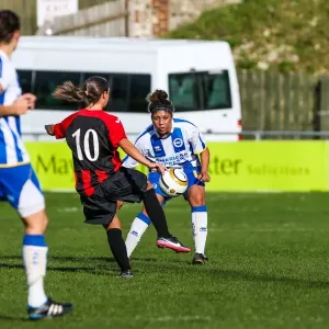 Brighton & Hove Albion Women vs. Lewes: A Historic Clash in the 2013-14 Season - Brighton And Hove Albion