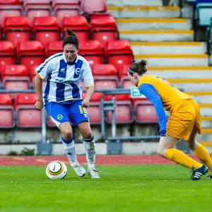 Brighton & Hove Albion Women vs. Gillingham: 2013-14 Season - A Battle on the Field Brighton & Hove Albion Women vs. Gillingham: 2013-14 Season - A Battle on the Field