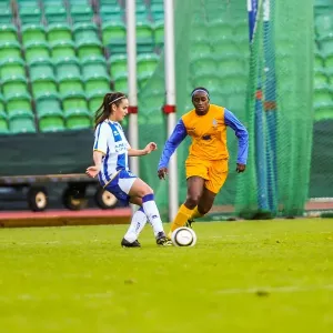 Brighton & Hove Albion Women vs. Gillingham: 2013-14 Season - A Clash in the FA WSL Brighton & Hove Albion Women vs. Gillingham: 2013-14 Season - A Clash in the FA WSL