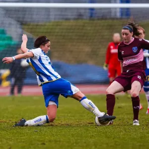 Brighton & Hove Albion Women vs. Portsmouth: 2013-14 Season - A Football Rivalry Brighton & Hove Albion Women vs. Portsmouth: 2013-14 Season - A Football Rivalry