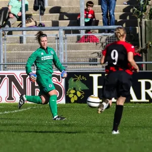 Brighton & Hove Albion Women's Football: 2013-14 Season - Lewes Match