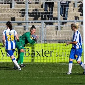 Brighton & Hove Albion Women's Football: 2013-14 Season - Lewes Match