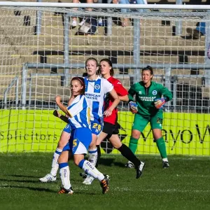 Brighton & Hove Albion Women's Football: 2013-14 Season - Lewes Match