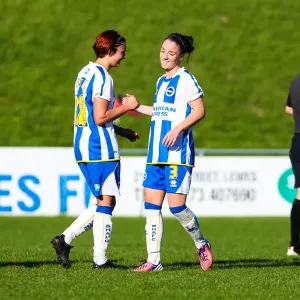 Brighton & Hove Albion Women's Football: 2013-14 Season - Lewes Match