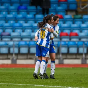 Brighton & Hove Albion Women's Football: Chesham Match, 2013-14 Season - Brighton And Hove Albion's Women's Team in Action against Chesham during the 2013-14 Season Brighton & Hove Albion Women's Football: Chesham Match, 2013-14 Season - Brighton And Hove Albion's Women's Team in Action against Chesham during the 2013-14 Season