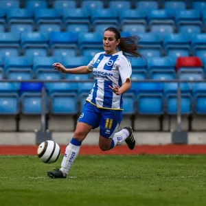 Brighton & Hove Albion Women's Football: Taking on Chesham in the 2013-14 Season Brighton & Hove Albion Women's Football: Taking on Chesham in the 2013-14 Season