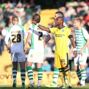 Brighton & Hove Albion at Yeovil Town (2013-14 Away Game): October 19, 2013 Brighton & Hove Albion at Yeovil Town (2013-14 Away Game): October 19, 2013