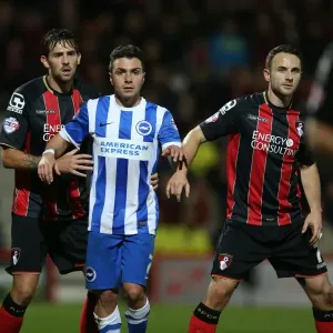 Brighton & Hove Albion's Adrian Colunga at SkyBet Championship Match vs Bournemouth, 1st November 2014 (American Express Community Stadium) Brighton & Hove Albion's Adrian Colunga at SkyBet Championship Match vs Bournemouth, 1st November 2014 (American Express Community Stadium)