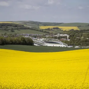 Brighton and Hove Albion's Amex Stadium Amidst Rapeseed Fields, May 2018