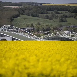 Brighton and Hove Albion's Amex Stadium Amidst a Sea of Rapeseed Fields, May 2018