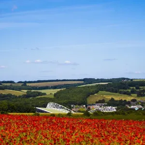 Brighton & Hove Albion's Amex Stadium: A Football Haven