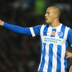 Brighton & Hove Albion's Bobby Zamora in Action Against Milton Keynes Dons, Sky Bet Championship 2015 Brighton & Hove Albion's Bobby Zamora in Action Against Milton Keynes Dons, Sky Bet Championship 2015