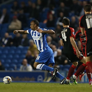 Brighton & Hove Albion's Chris O'Grady in Action Against Huddersfield Town, American Express Community Stadium, 14th April 2015
