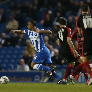 Brighton & Hove Albion's Chris O'Grady in Action Against Huddersfield Town, American Express Community Stadium, 14th April 2015 Brighton & Hove Albion's Chris O'Grady in Action Against Huddersfield Town, American Express Community Stadium, 14th April 2015