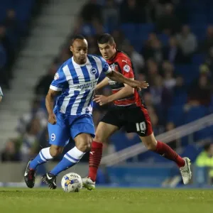 Brighton & Hove Albion's Chris O'Grady Faces Off Against Huddersfield Town in Sky Bet Championship Clash, American Express Community Stadium, 14th April 2015 Brighton & Hove Albion's Chris O'Grady Faces Off Against Huddersfield Town in Sky Bet Championship Clash, American Express Community Stadium, 14th April 2015