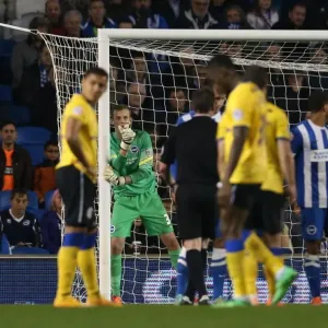 Brighton & Hove Albion's Christian Walton: A Clean Sheet Debut Against Wigan Athletic (4 Nov 2014) Brighton & Hove Albion's Christian Walton: A Clean Sheet Debut Against Wigan Athletic (4 Nov 2014)