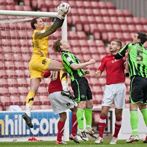Brighton & Hove Albion's David Button in Action at Barnsley, Npower Championship, 2012