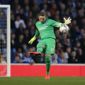 Brighton & Hove Albion's David Stockdale in Action against AFC Bournemouth (April 10, 2015) Brighton & Hove Albion's David Stockdale in Action against AFC Bournemouth (April 10, 2015)