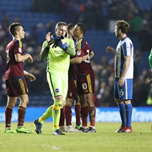 Brighton & Hove Albion's David Stockdale Applauds Amidst Ipswich Town Tensions (14FEB17)
