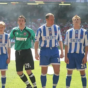 Brighton & Hove Albion's Epic Journey to the Premier League: 2004 Championship Play-off Final Victory