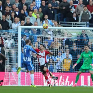 Brighton & Hove Albion's Glenn Murray Scores Dramatic Equalizer Against Southampton (29OCT17) Brighton & Hove Albion's Glenn Murray Scores Dramatic Equalizer Against Southampton (29OCT17)