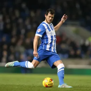 Brighton and Hove Albion's Gordon Greer Leads the Charge Against Ipswich Town (January 2015)