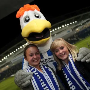 Brighton & Hove Albion's Gully: Connecting with His Adoring Fans Brighton & Hove Albion's Gully: Connecting with His Adoring Fans