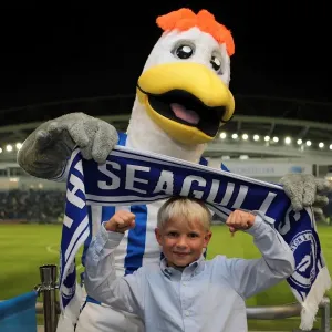 Brighton & Hove Albion's Gully: A Heartfelt Reunion with Passionate Seagulls Fans Brighton & Hove Albion's Gully: A Heartfelt Reunion with Passionate Seagulls Fans