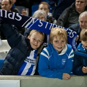 Brighton & Hove Albion's Historic 10-04-2012 Victory Against Reading: A Memorable 2011-12 Season Home Game Brighton & Hove Albion's Historic 10-04-2012 Victory Against Reading: A Memorable 2011-12 Season Home Game