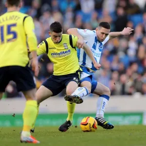 Brighton & Hove Albion's Historic 11-1 Victory over Birmingham City (January 11, 2014) Brighton & Hove Albion's Historic 11-1 Victory over Birmingham City (January 11, 2014)
