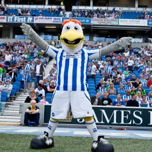 Brighton & Hove Albion's Iconic Trio: Gully, Sammy, and Sally