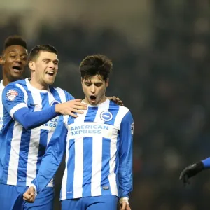 Brighton and Hove Albion's Joao Teixeira Scores Thrilling Goal Against Ipswich Town (January 2015)