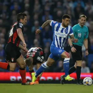 Brighton and Hove Albion's Leon Best in Action Against AFC Bournemouth (April 10, 2015) Brighton and Hove Albion's Leon Best in Action Against AFC Bournemouth (April 10, 2015)