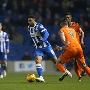 Brighton & Hove Albion's Leon Best in Action against Ipswich Town (January 2015)