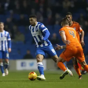 Brighton & Hove Albion's Leon Best in Action against Ipswich Town (January 2015)