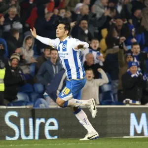 Brighton & Hove Albion's Leonardo Ulloa Celebrates Goal Against QPR, Skybet Championship 2014