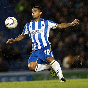 Brighton & Hove Albion's Liam Bridcutt: A Focused and Determined Force on the Football Field