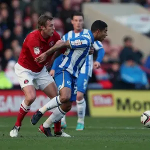 Brighton & Hove Albion's Liam Bridcutt in Action Against Charlton Athletic (Dec 2012)