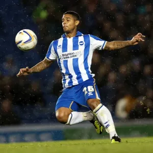 Brighton & Hove Albion's Liam Bridcutt: A Focused and Determined Force on the Football Field Brighton & Hove Albion's Liam Bridcutt: A Focused and Determined Force on the Football Field